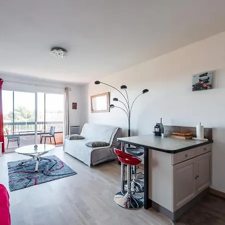 Grand Avec Piscine Presqu'île De Giens Apartment *