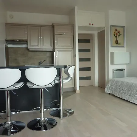 Grand Avec Piscine Presqu'île De Giens Apartment *