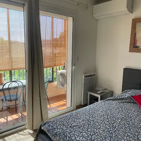 Grand Avec Piscine Presqu'île De Giens Apartment *