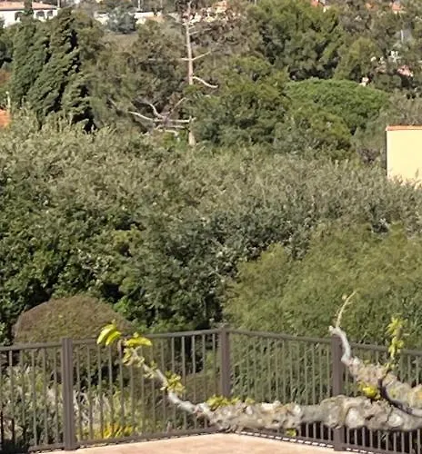 Grand Avec Piscine Presqu'ile De Giens Lägenhet Hyères